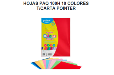 HOJAS DE 10 COLORES T/CARTA 100HOJAS POINTER