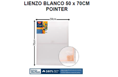 LIENZO BLANCO 50x70cm POINTER